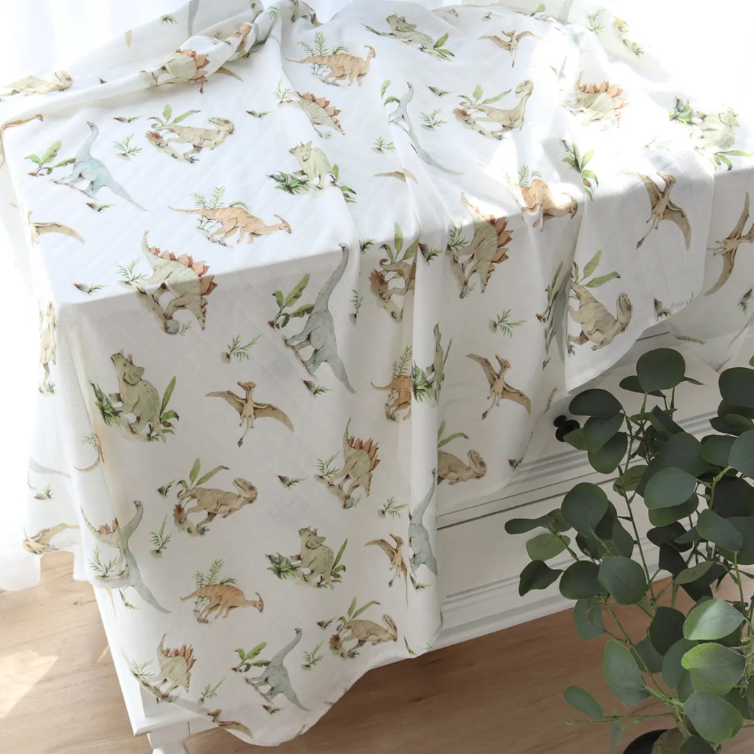 dinosaur blanket 