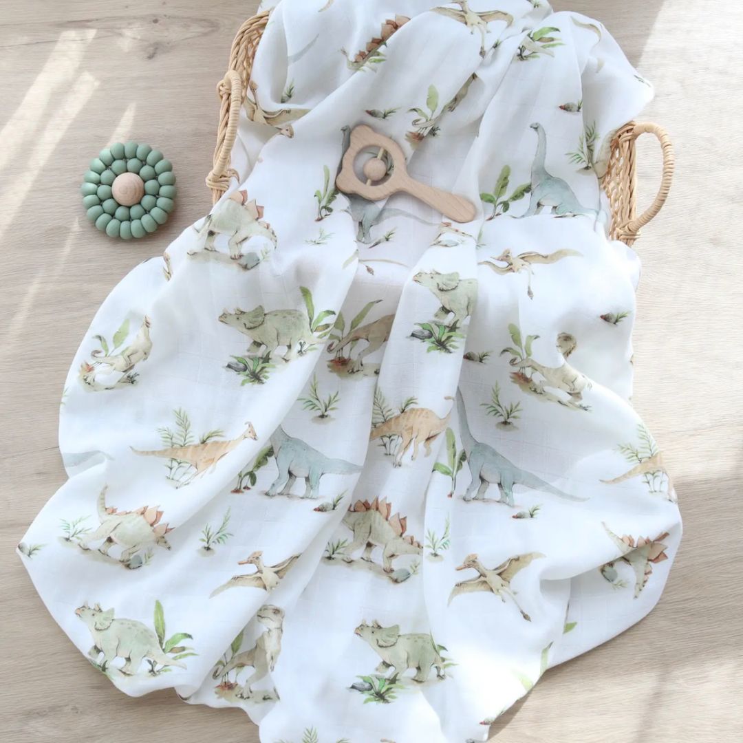 dinosaurs blanket